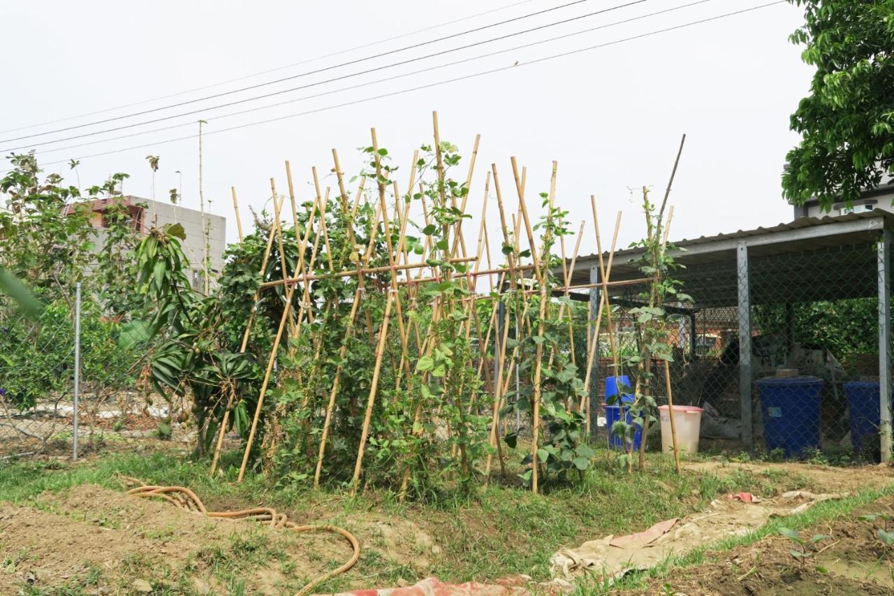 嘉義泊岸居民宿 Lucao Bagian luar foto