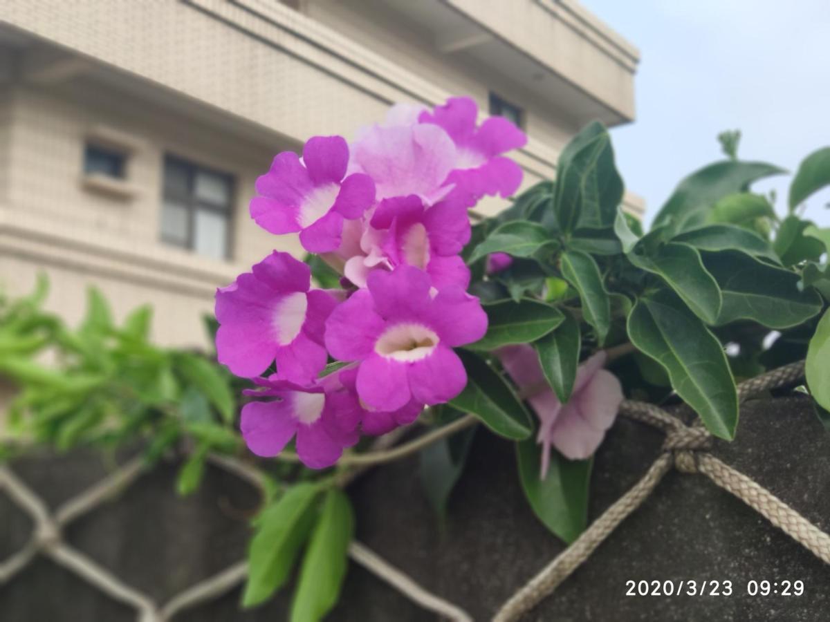 嘉義泊岸居民宿 Lucao Bagian luar foto